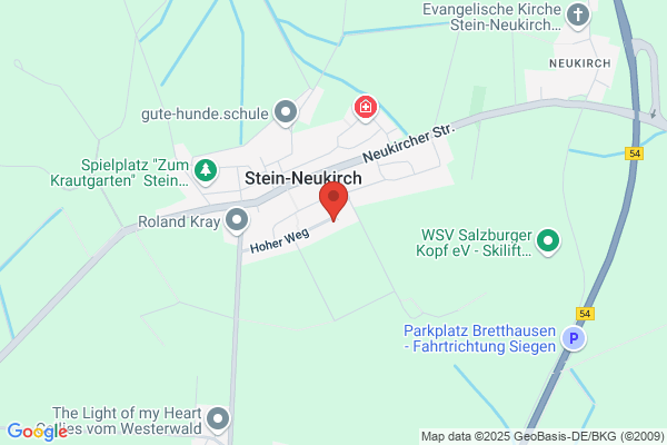 Wolfgang Stein
