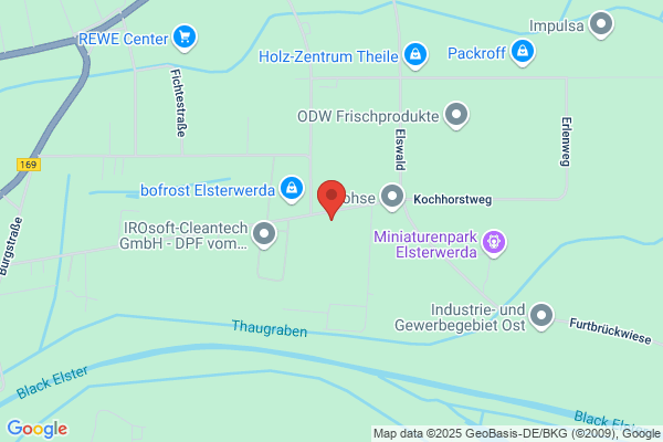 Michael Lehmann