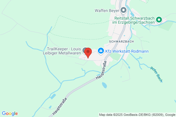EAS Erzgebergische Aufzugs- Services GmbH