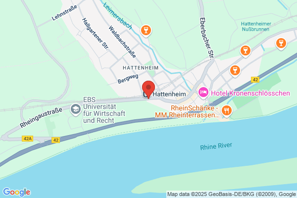 Rheinblick
