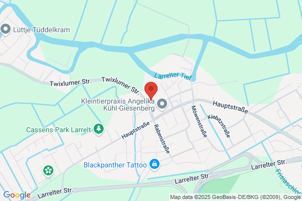 Hinderk Neef