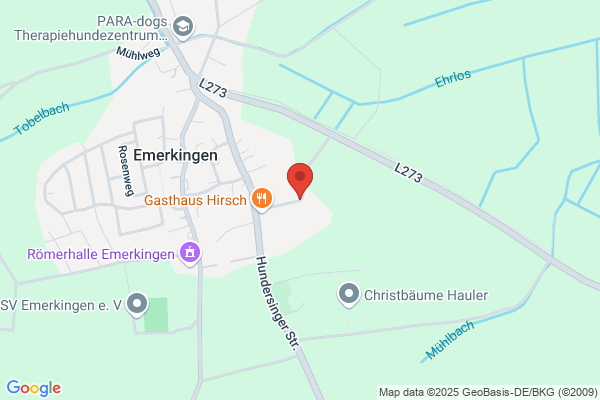 Emerkingen