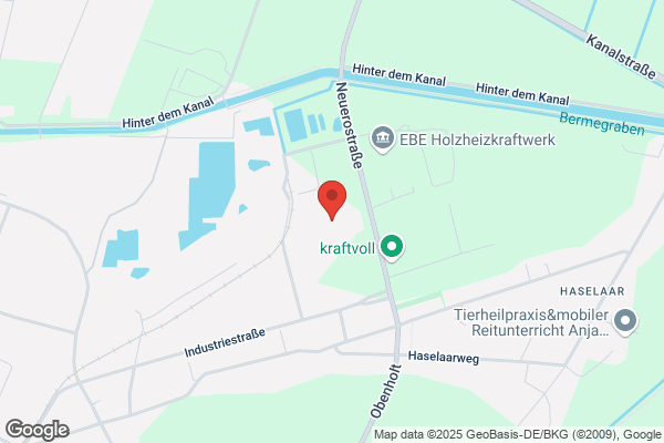 BE Bioenergie GmbH & Co. KG