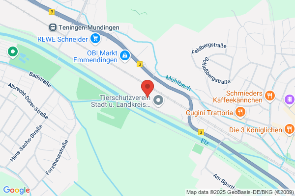 Domino's Pizza Emmendingen