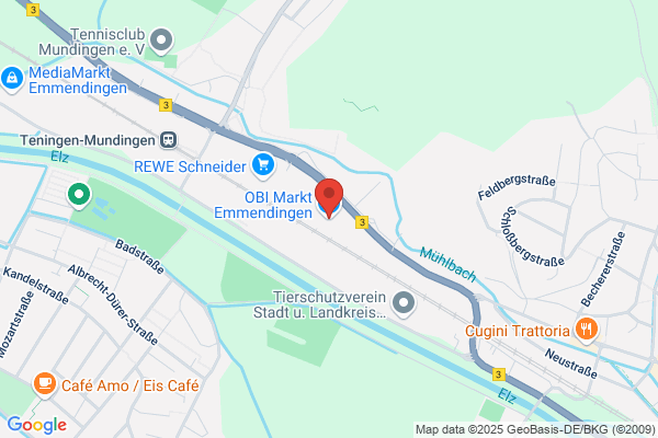 OBI Holzzuschnitt-Service im Markt Emmendingen