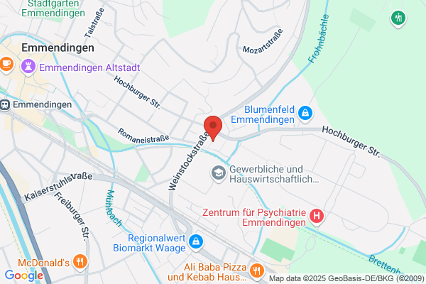 Begleitetes Wohnen in Familien - BWF