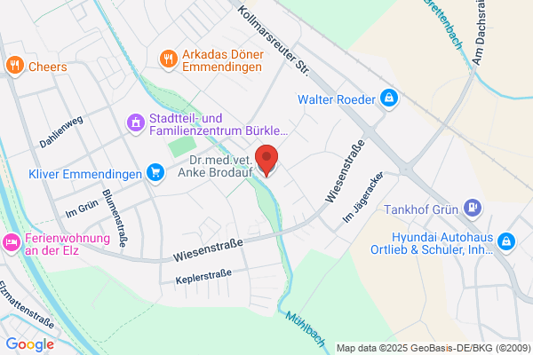 Dr.med.vet. Anke Brodauf