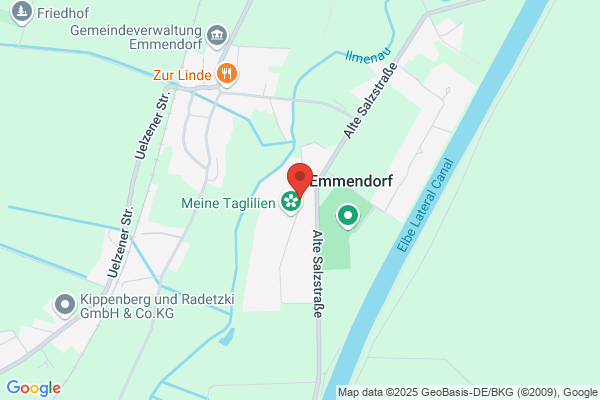 Heitplatz, Gerda
