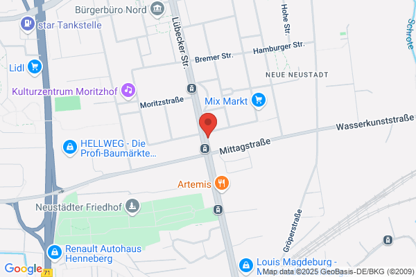 Schnittblumen & Topfpflanzen Handels GmbH Floristik 99