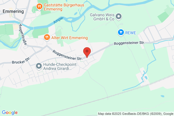 Renés Dienstleistungen