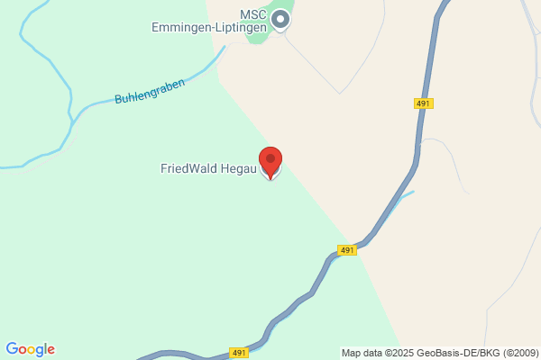 FriedWald Hegau