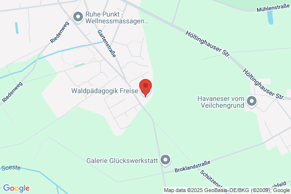 Waldpädagogik Freise