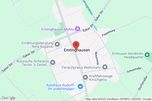 DMD-Sicherheitsdienste