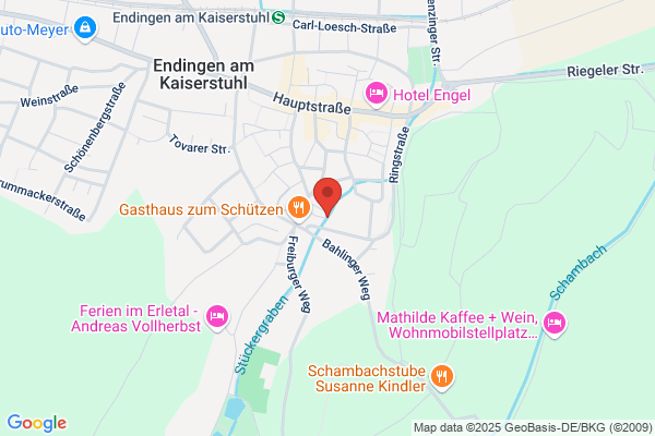 Günther Ringswald