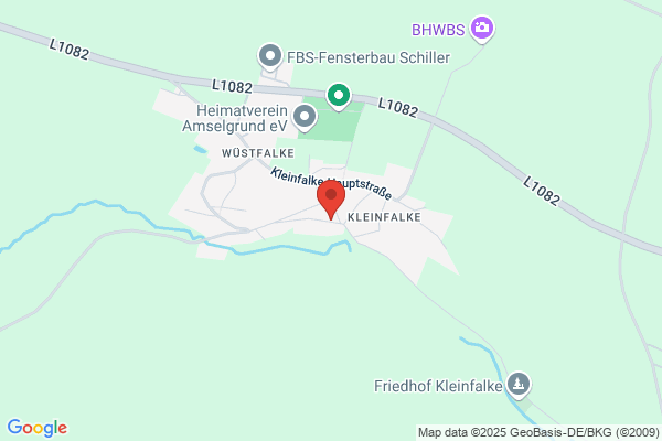Bläsing Umzüge