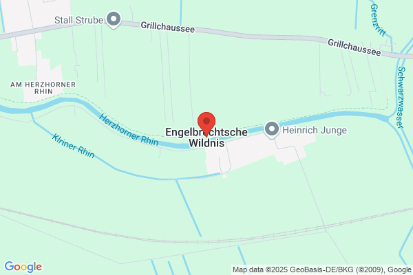Blaß