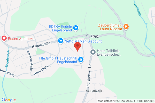teamziereis GmbH