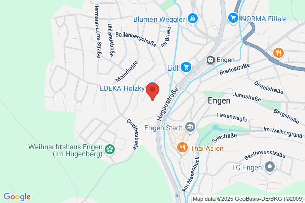 Feuerwehr Engen