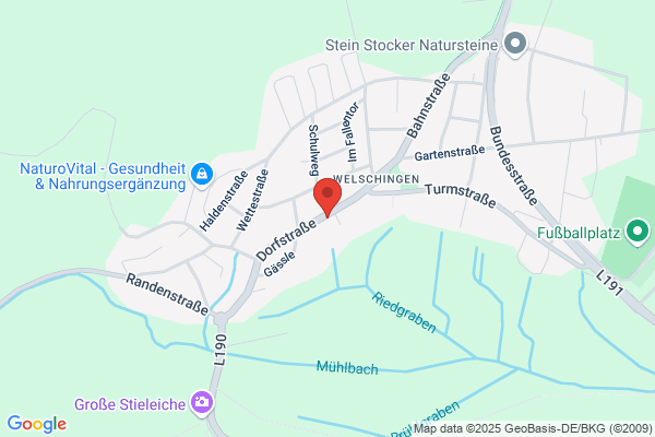 Sportverein Welschingen