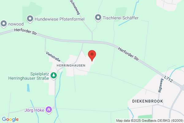 Reinkensmeyer