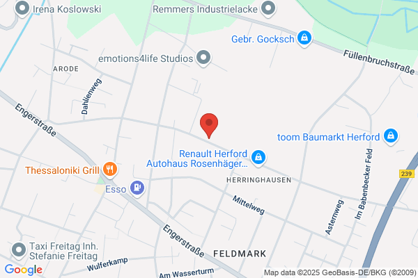 Henrob GmbH