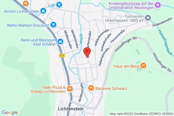 Schuldnerhilfe Insolvenz u. Immobilien ISBW