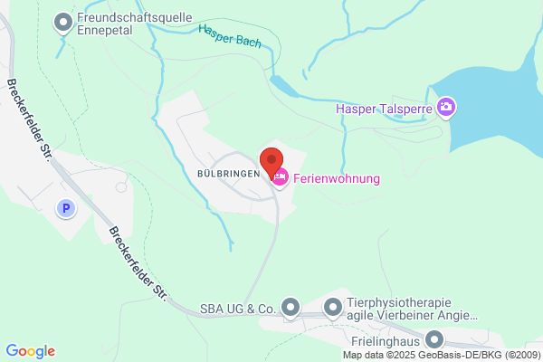 Die Seelenlichter