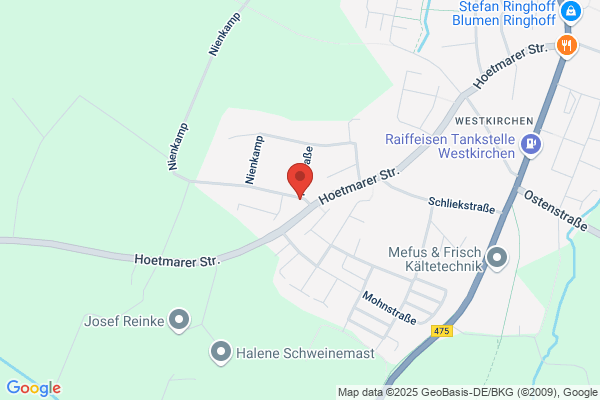 Am Nienkamp