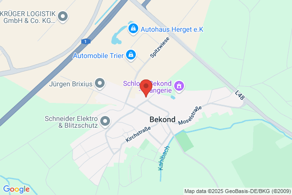 Heinz Salje