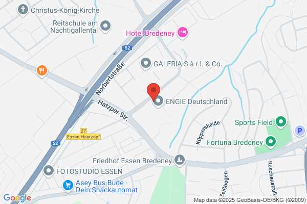 Pedus GmbH