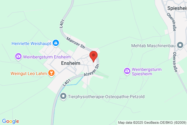 Ortsgemeinde Ensheim Oberbürgermeister