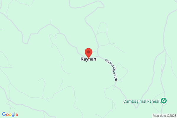 Kayhan