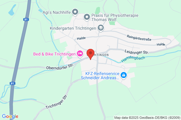 Frommer Berti BAG GbR Bau und Autoglas