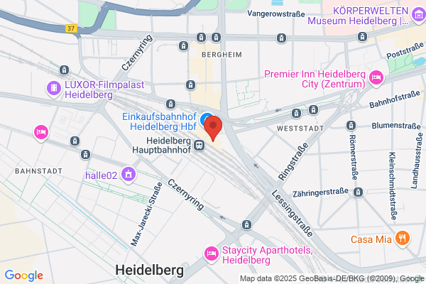 Heidelberger Internet-Café