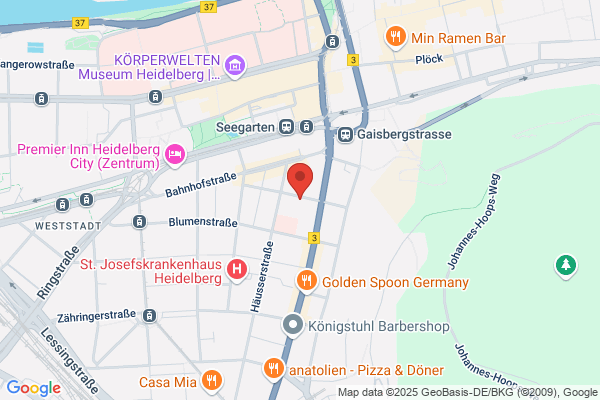 Elite Hotel/Dependance Haus Bunsen