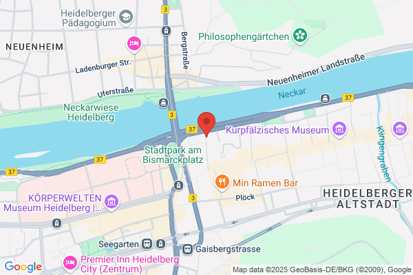 H. Hemingway's Heidelberg
