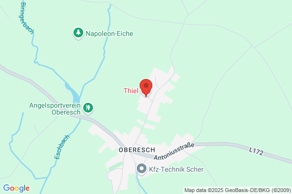 Willi-Gerd Thiel
