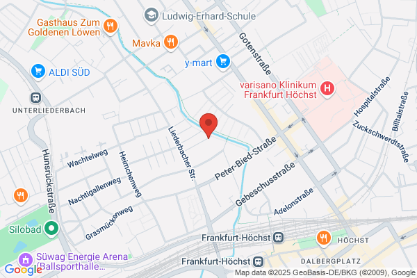 SRZ Satz-Rechen-Zentrum Frankfurt