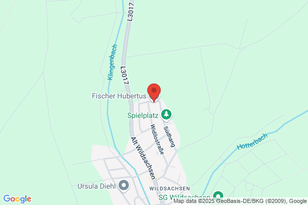 H. Fischer, U. Biedermann