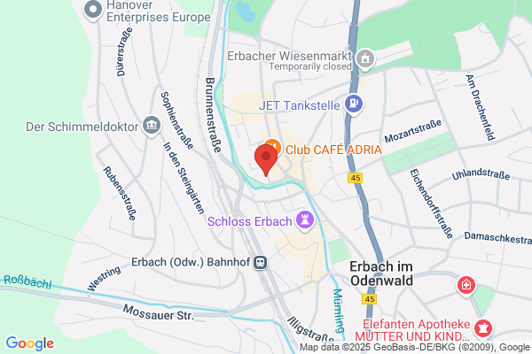 Nesslog Expert Services GmbH