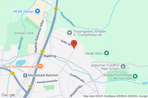 Manfred Mayer