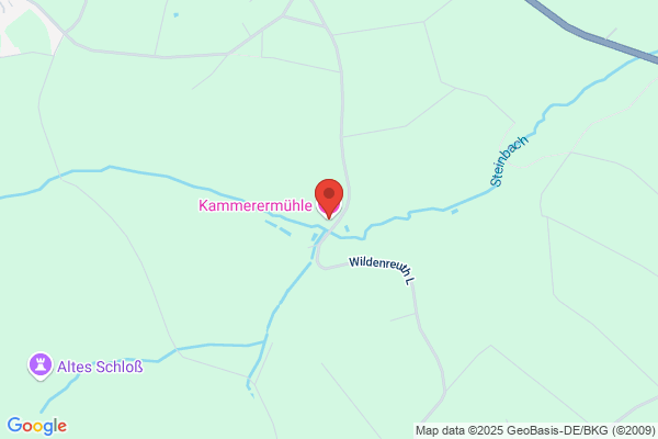 Kammerer, Hermann