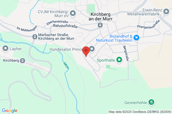 Schneider Ortungstechnik