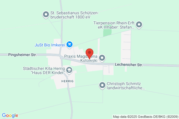 IWV Immobilien Wolfgang Vesen