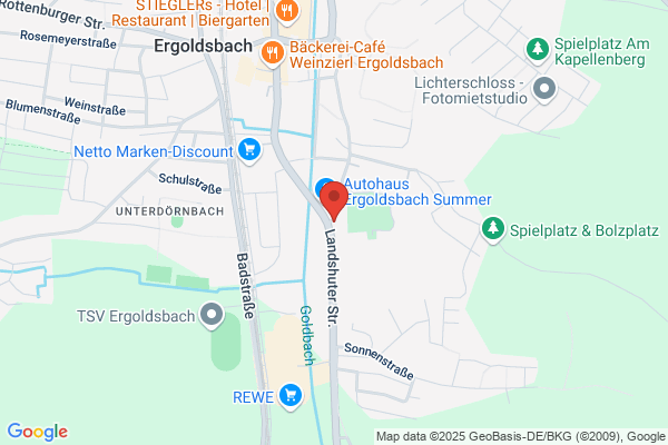 Musikschule Ergoldsbach, Heinz Summer