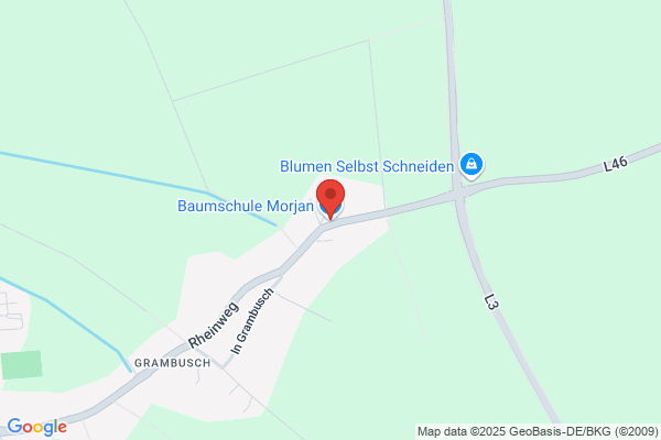 Baumschule H.Morjan
