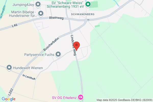 Ballett-Studio Schwanensee
