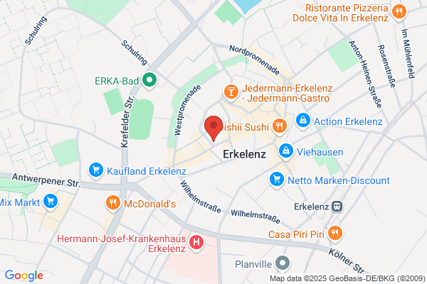 Vlaamse Frites