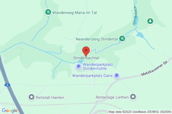 Wilfried Stin