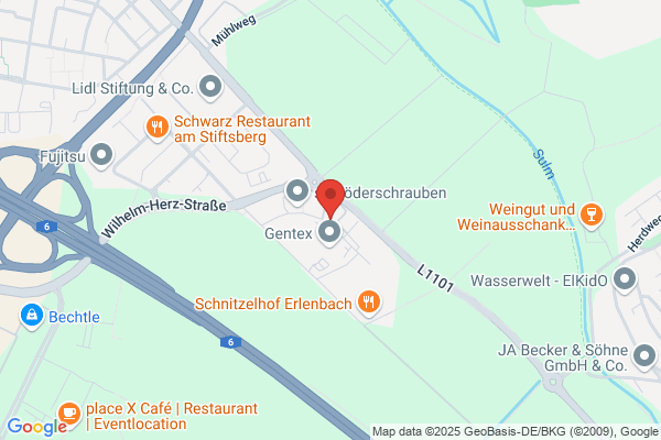 Homo Novus GmbH & Co. KG